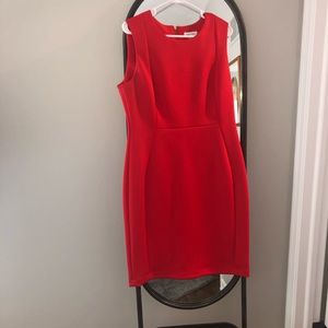 Calvin Klein Little Red Dress